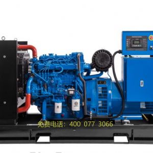 濰柴30KW發(fā)電機(jī)組