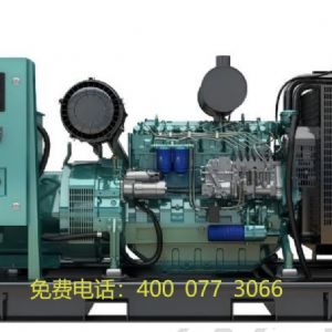 濰柴100kw發(fā)電機(jī)組